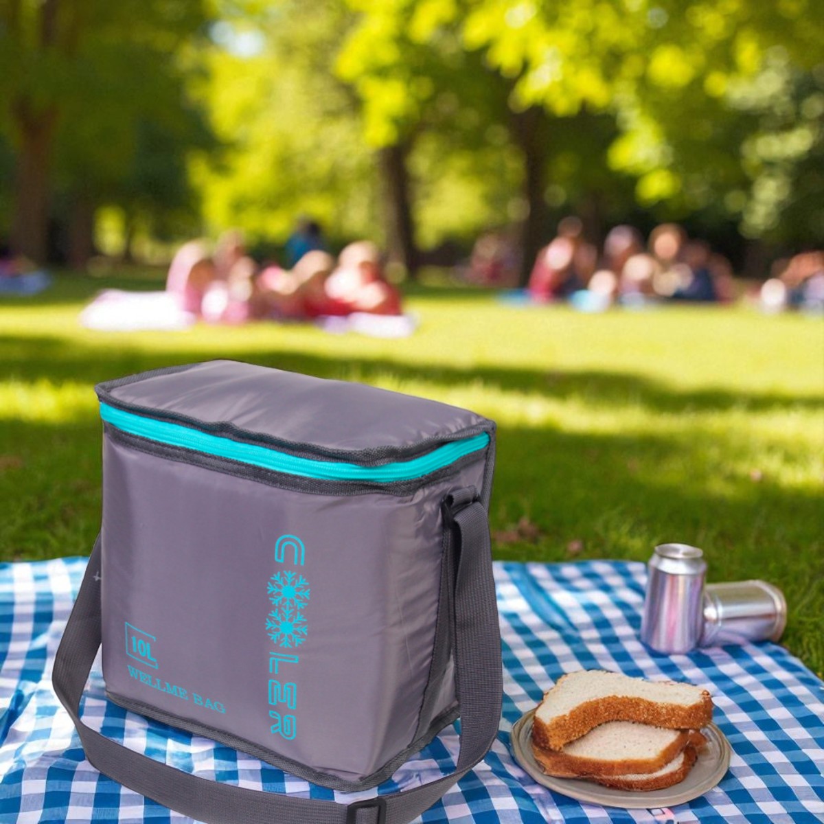 Термосумка Cooler 10 л 25 х 16 х 23 см (MH-5367-S)