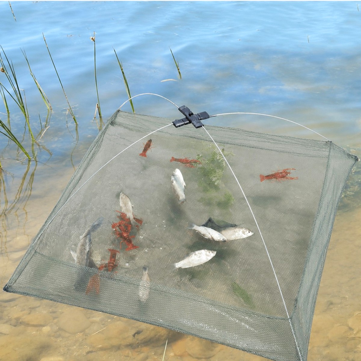 Малявочница Sams Fish 60 х 60 см (SF24053)