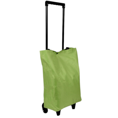 Сумка хозяйственная на колесах Shopping Bag 32 х 15 х 40 см (R32864) (Зелёный)