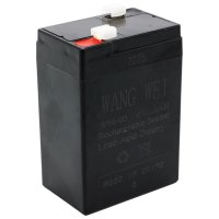Аккумуляторная батарея Wang Wei 6V 4Ah (1641)