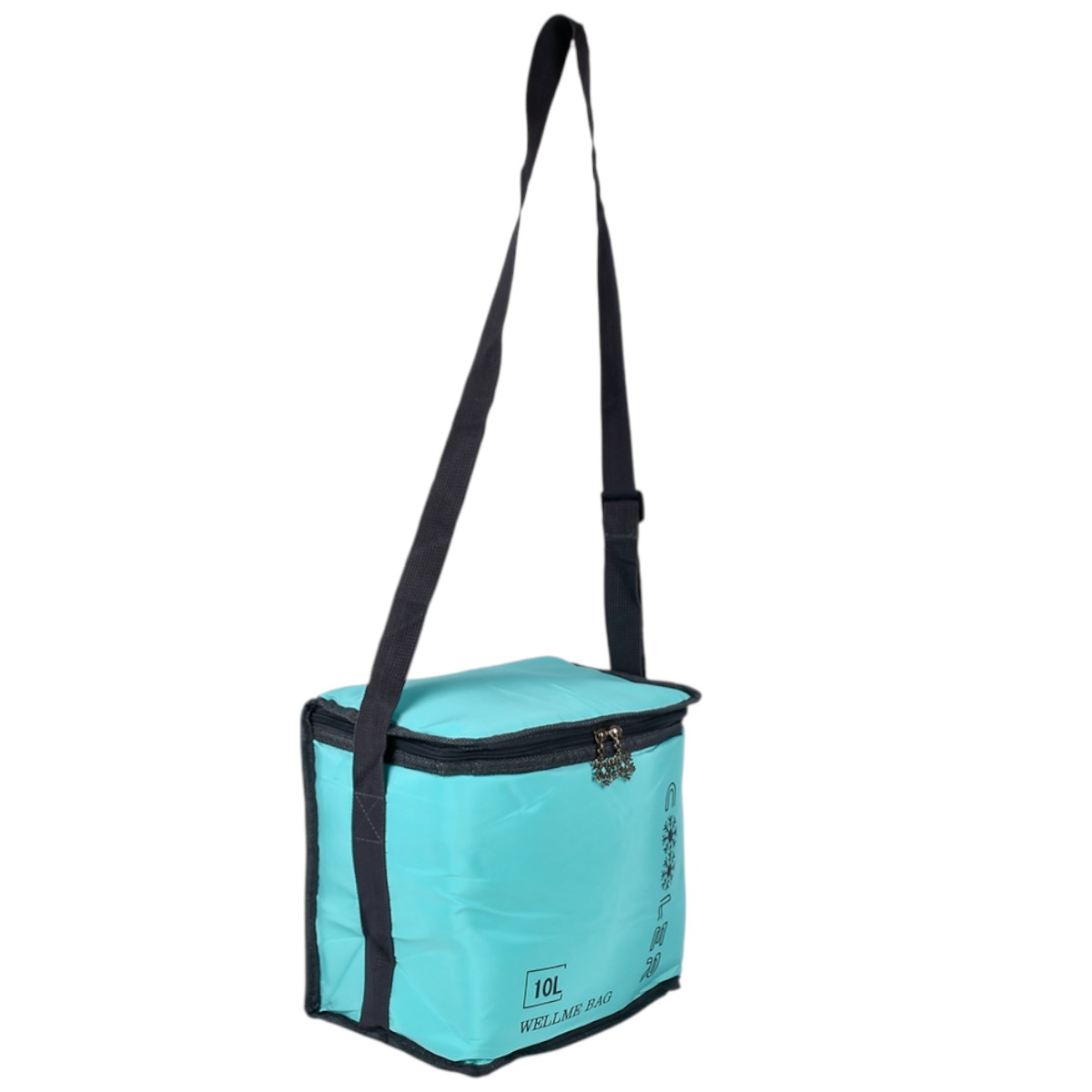 Термосумка Cooler 10 л 25 х 16 х 23 см (MH-5367-S)