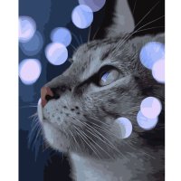 Картина_по_номерам_Кот_среди_огоньков_40х50_см.jpg