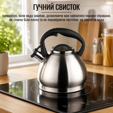 Чайник A-PLUS Econom зі свистком 3.0 л (1374-WK)